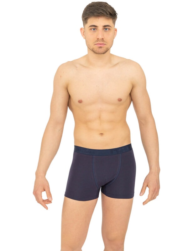 boxer NC 411 mple 23 1