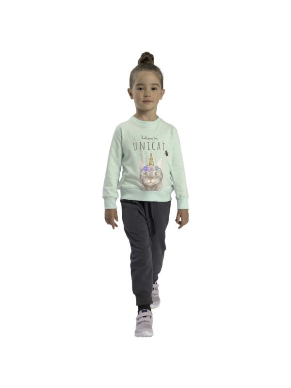 forma FNK 221-717106-1 veraman-anthraki