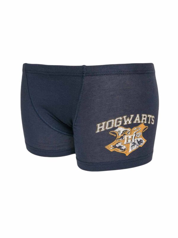 boxer NC 315 blue 23-24 1