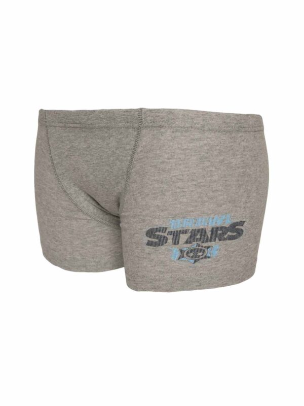 boxer NC 315 grey 23-24 1