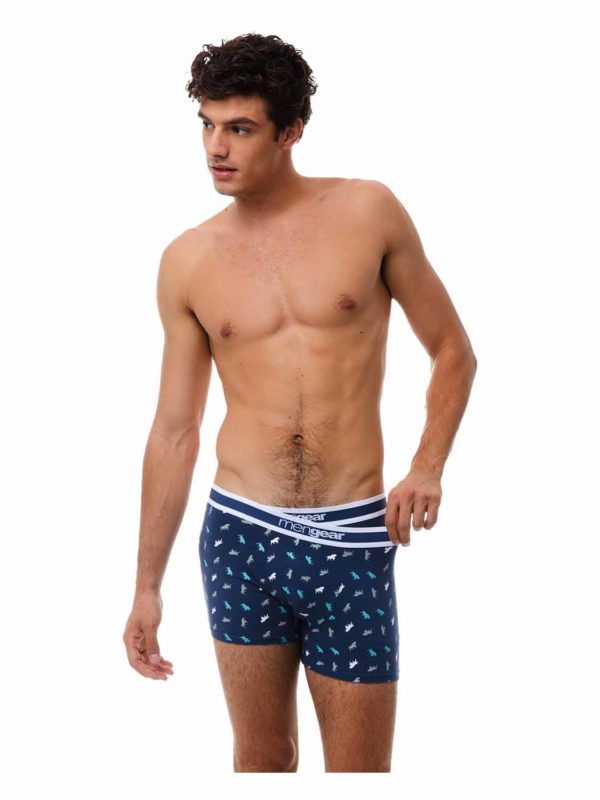 boxer MIN 29398 raf 0 c2p