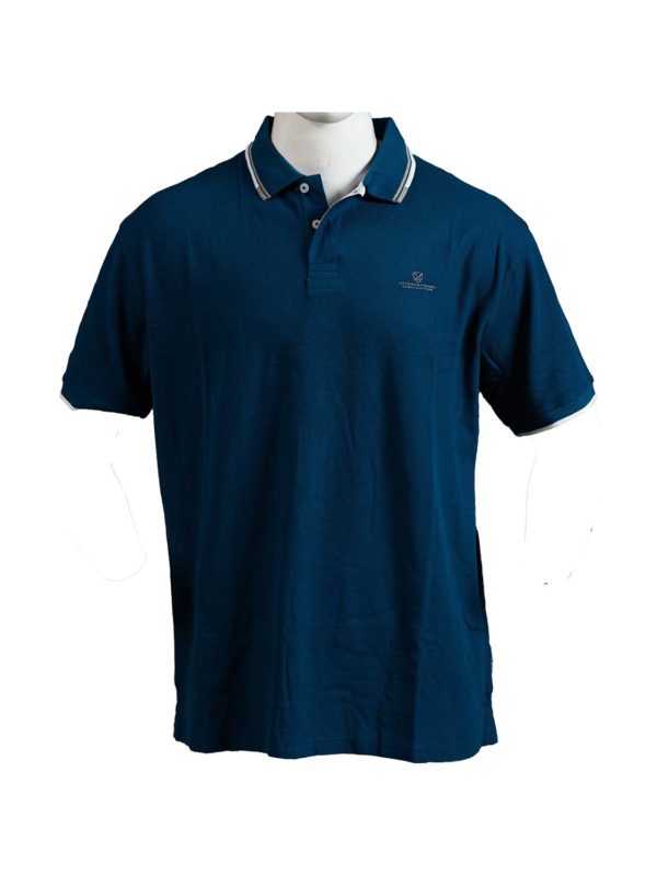 polo DBL GS-35S petrol