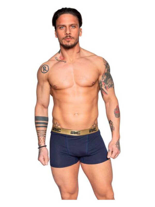 boxer NC 411-mple-xryso-metal
