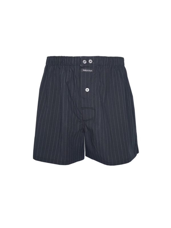boxer HLS 85543 mavro