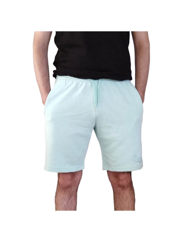 TAR BASIC LOGO S22-55013 622 peanut green 1