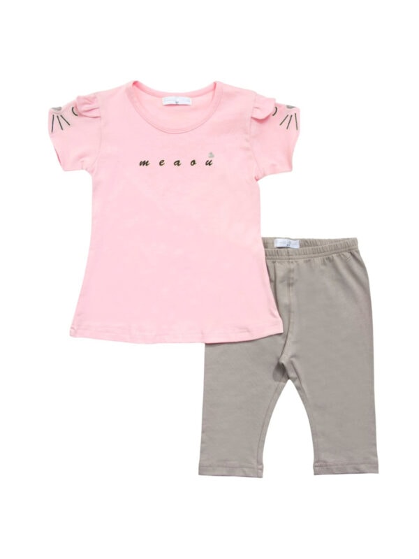 set FNK 123-719101-1 S23 roz ammos 1