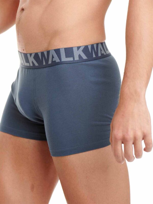 boxer WLK W1755-1 0307 skouro mple-raf 2