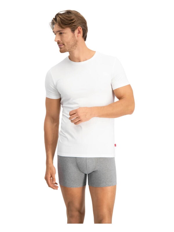 fanelaki LEV MEN SOLID CREW 905055001 300 white 1
