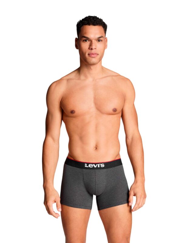 boxer LEV BOXER 701229537-001 grey-black 2409 2