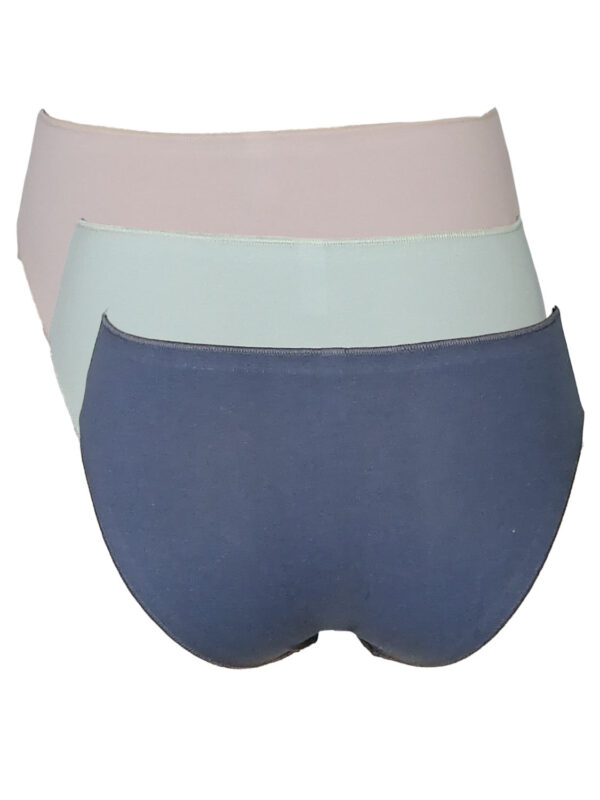 slip BGL MIDI BGJD310003-009 indigo-mint-warm taupe 2506 2