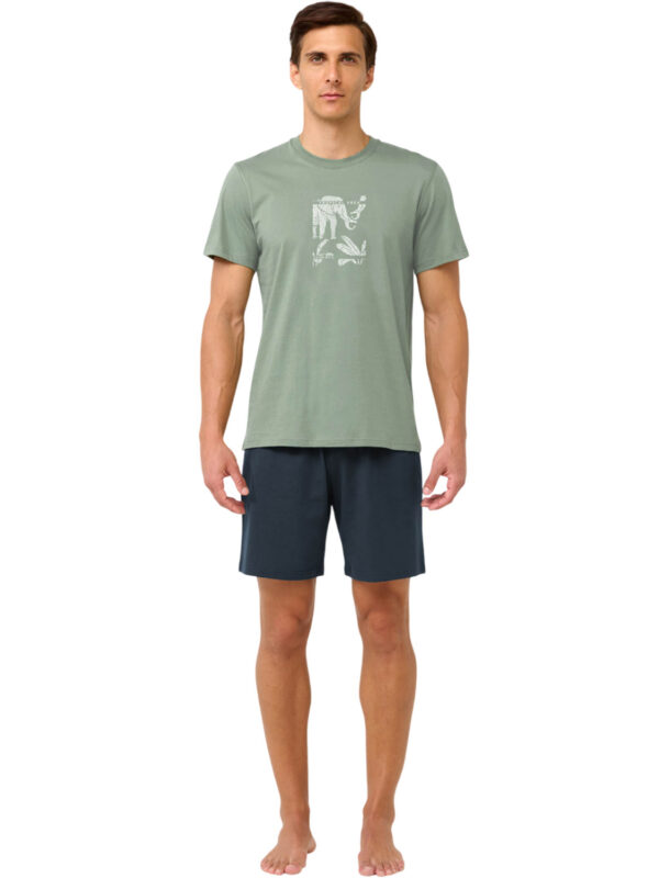 VMP 89026 000 vert 2507 1