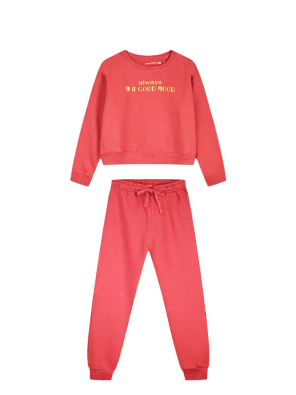 ENG-16-125289-0-233-fraise 1