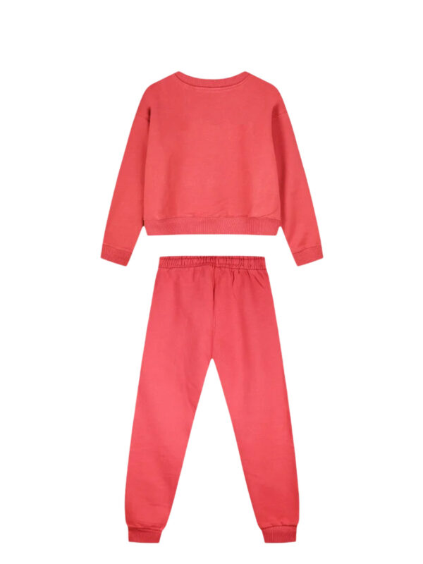 ENG-16-125289-0-233-fraise 2
