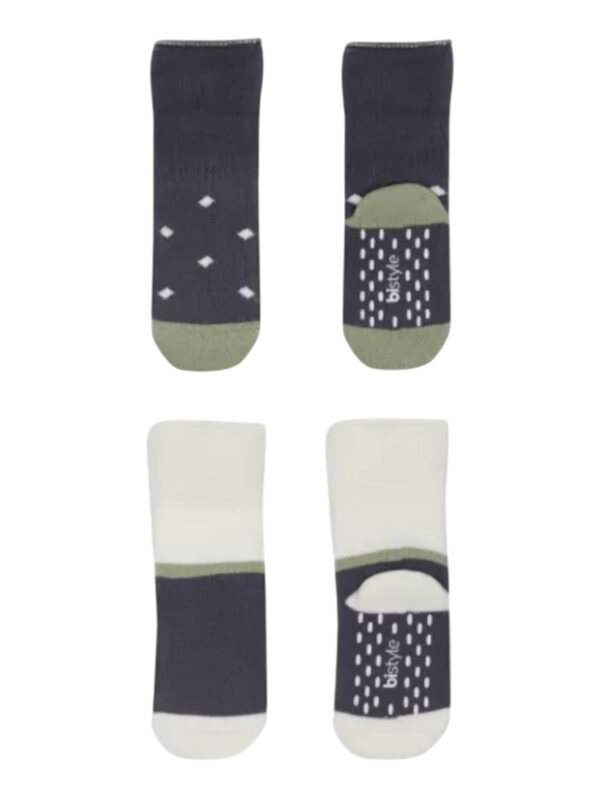 BIO-10502-4-anthraki 1