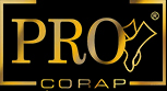 Pro Socks logo 153x83 2512