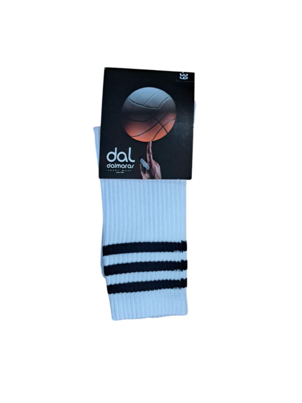 dal-120-leyko 1