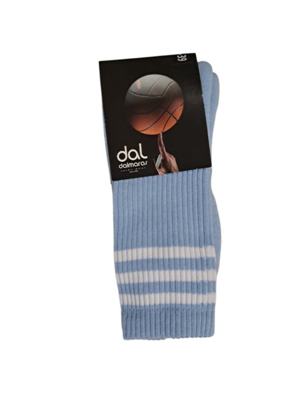 dal-120-siel 1