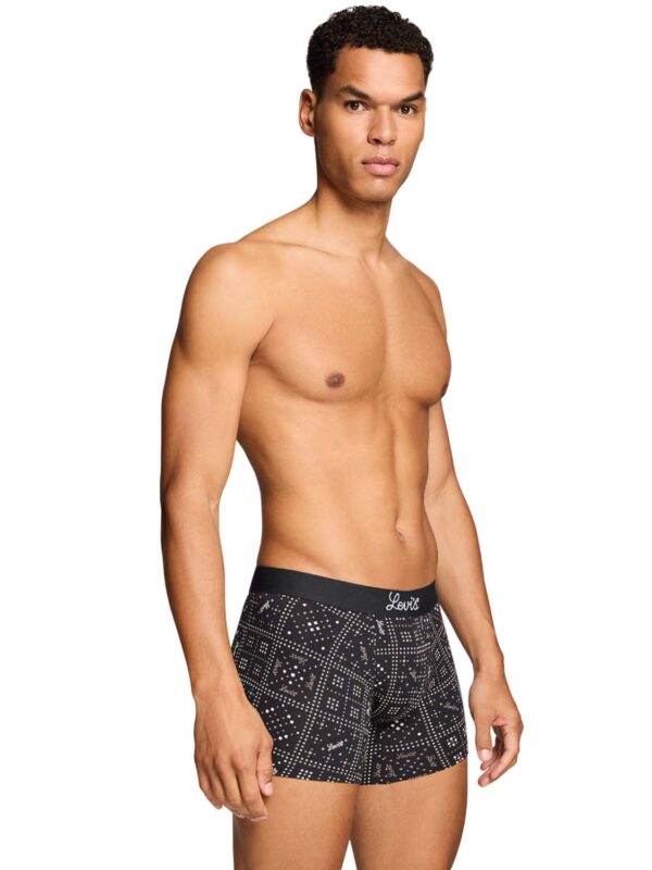 LEV BOXER BRIEFS 2P 701238422-002 black combo 2602 2
