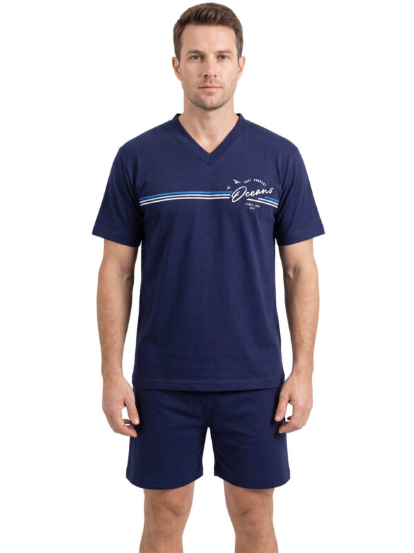 NC 720-26 blue 2605 1