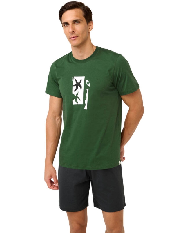 VMP 22624 862 green 2604 2